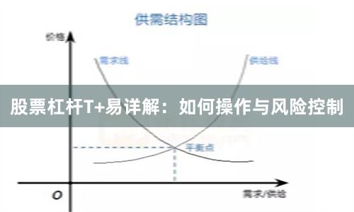 股票杠杆T+易详解：如何操作与风险控制