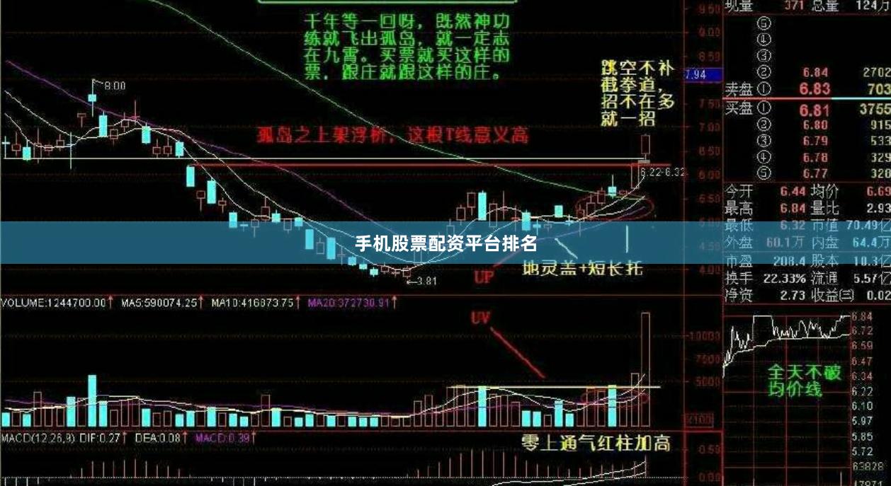 手机股票配资平台排名