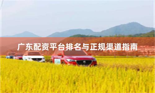 广东配资平台排名与正规渠道指南