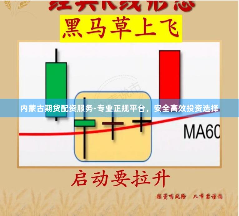 内蒙古期货配资服务-专业正规平台，安全高效投资选择