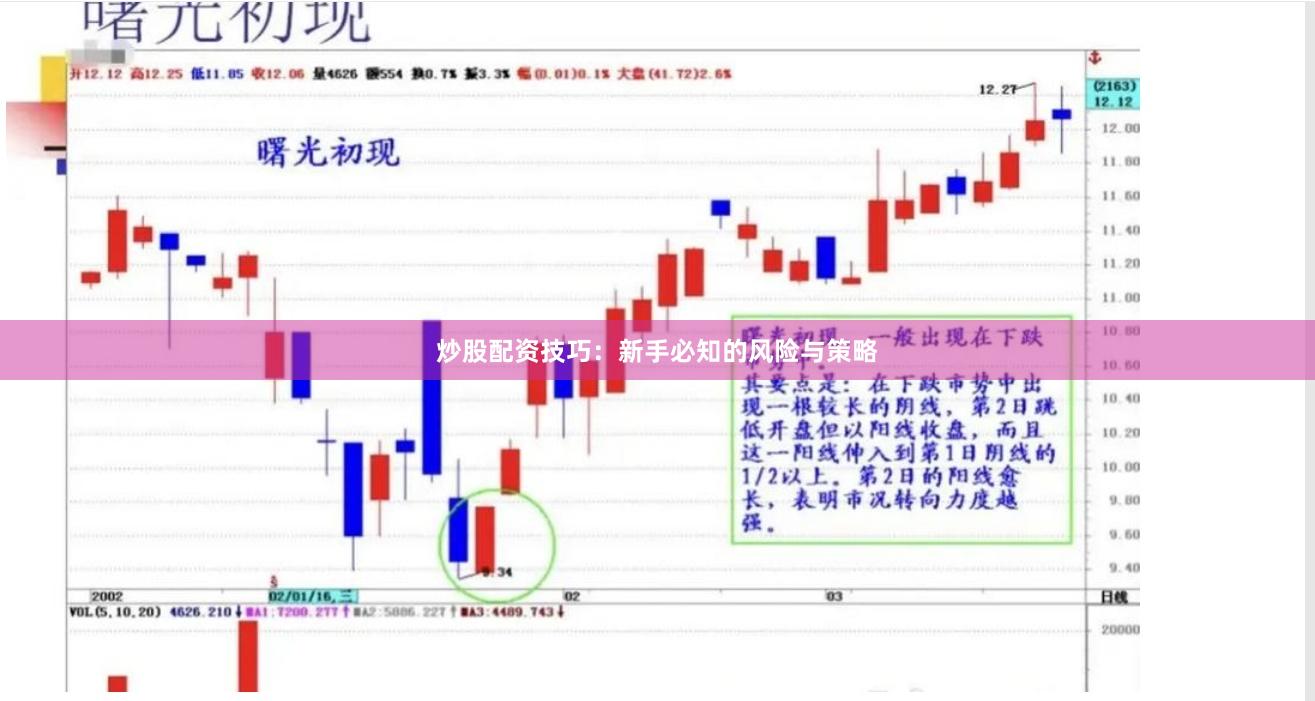 炒股配资技巧:新手必知的风险与策略